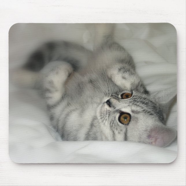 Silver spotted kitten mousepad (Front)