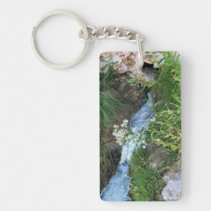 Silver spring key ring