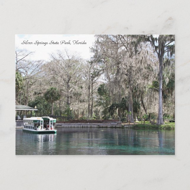 Silver Springs, Florida, Glass Bottom Boat Postcard (Front)