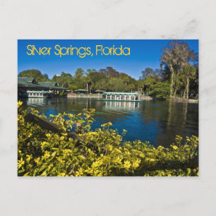 Silver Springs Nature Theme Park, Florida, U.S.A. Postcard