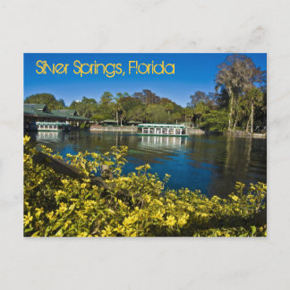 Silver Springs Nature Theme Park, Florida, U.S.A. Postcard