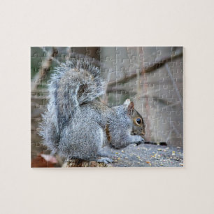 Silver Squirrel Jigsaw Puzzle