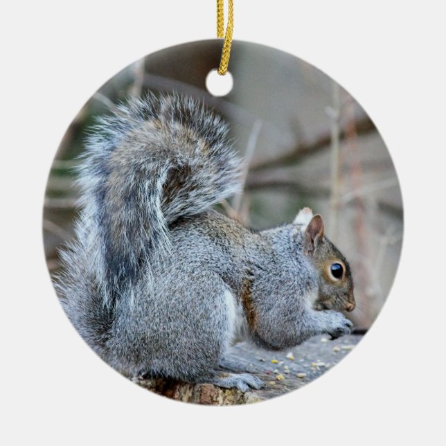Silver Squirrel Ornament (Front)