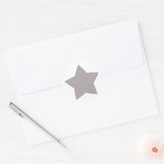 Silver Star Classic Round Sticker
