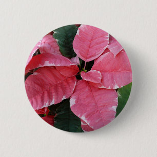 Silver Star Marble Poinsettias Pink Holiday Floral 6 Cm Round Badge