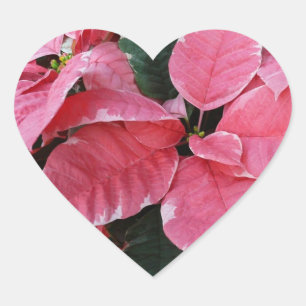Silver Star Marble Poinsettias Pink Holiday Floral Heart Sticker