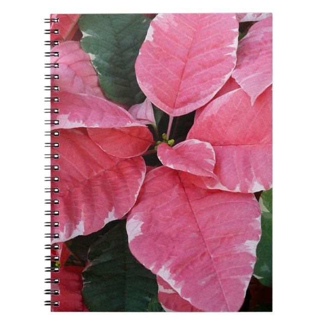 Silver Star Marble Poinsettias Pink Holiday Floral Notebook (Front)