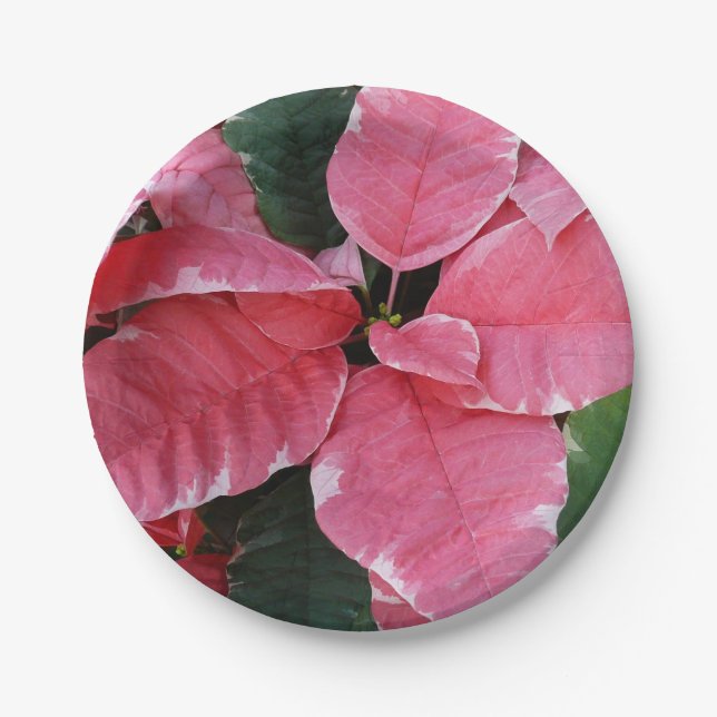 Silver Star Marble Poinsettias Pink Holiday Floral Paper Plate (Front)