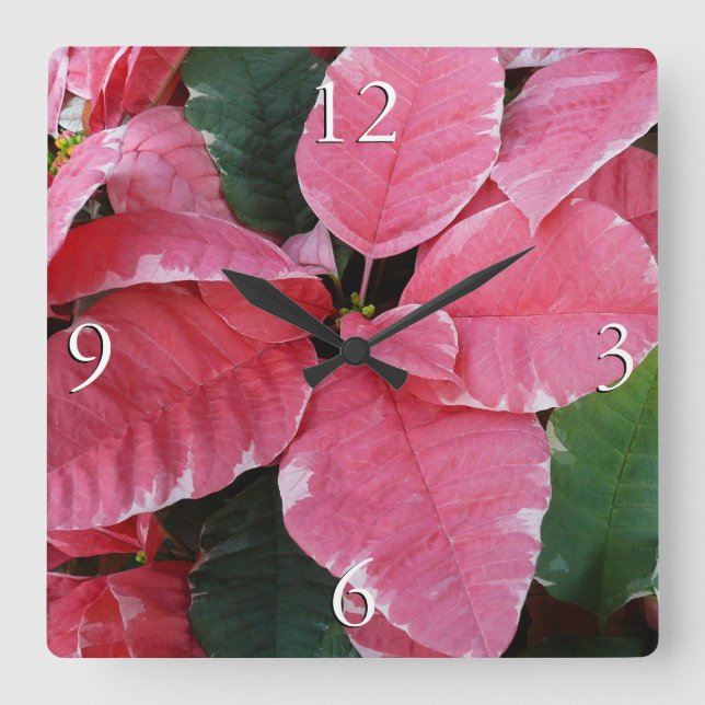 Silver Star Marble Poinsettias Pink Holiday Floral Square Wall Clock (Front)