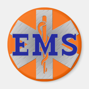 Silver Star of Life with Blue EMS Magnet
