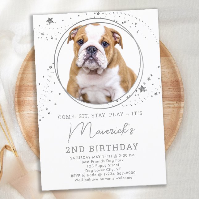 Silver Stars Birthday Personalised Pet Dog Photo Invitation (Creator Uploaded)