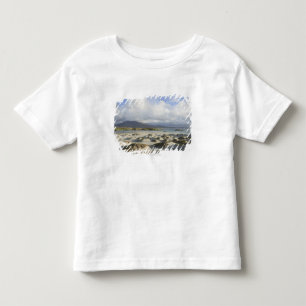 Silver Strand Beach Toddler T-Shirt
