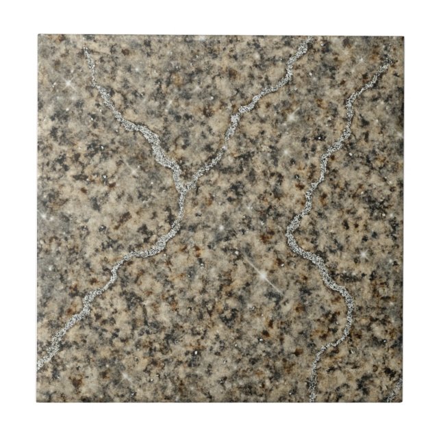 Silver Streams – Luxe Granite Ceramic Tile (Front)