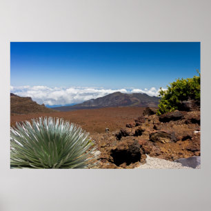 Silver Sword Landscape Poster