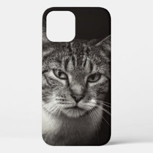 SILVER TABBY CAT iPhone 12 CASE