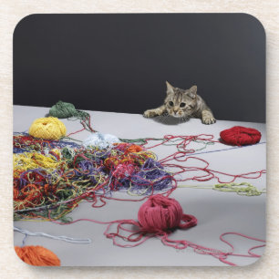 Silver tabby cat climbing over edge of table coaster