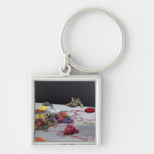 Silver tabby cat climbing over edge of table key ring