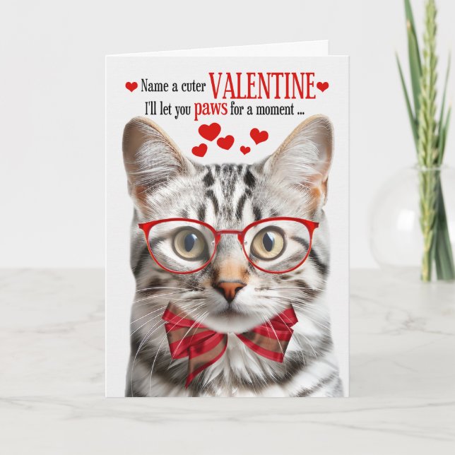 Silver Tabby Cat Feline Humour Valentine's Day Holiday Card (Front)