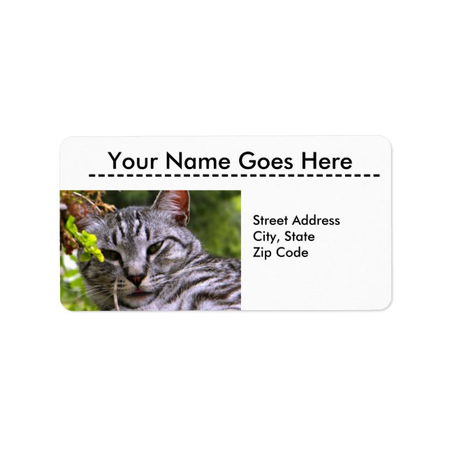 Silver Tabby Cat Head Address Labels (Front)