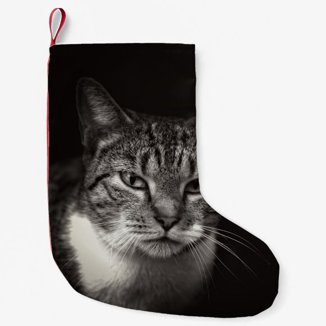 SILVER TABBY CAT SMALL CHRISTMAS STOCKING (Front)