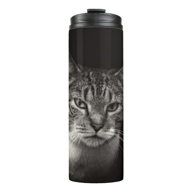 SILVER TABBY CAT THERMAL TUMBLER (Front)