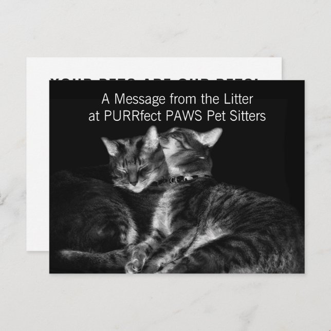 Silver Tabby Cats Pet Sitter Handout Business Postcard (Front/Back)