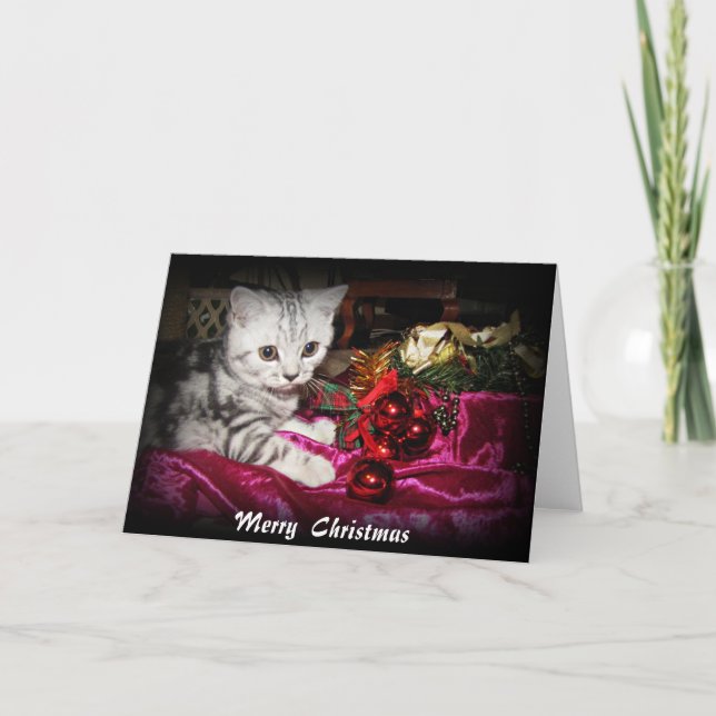 Silver tabby kitten Christmas card (Front)