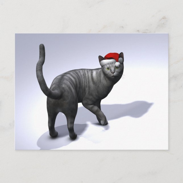 Silver Tabby Santa Claus Hat Holiday Postcard (Front)