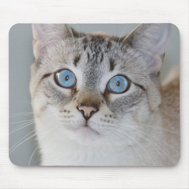 Silver Tabby Siamese Mouse Pad (Front)