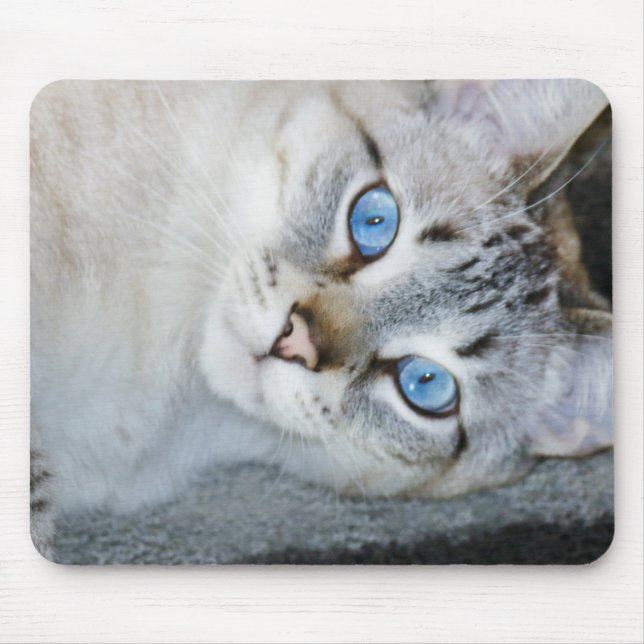 Silver Tabby Siamese Mouse Pad (Front)