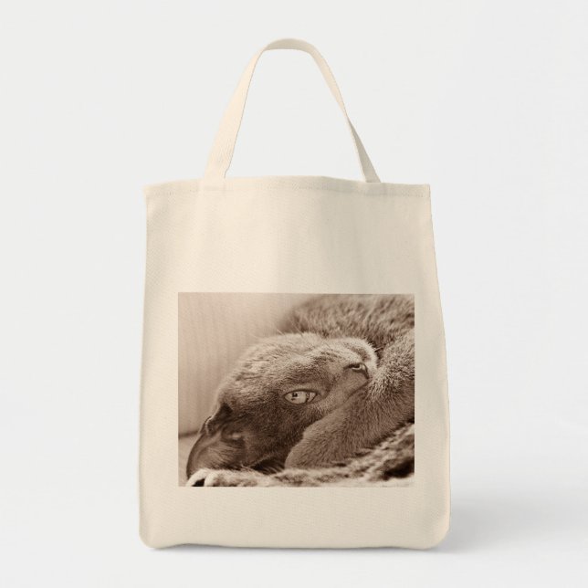Silver the Cat Grocery Tote Bag (Front)