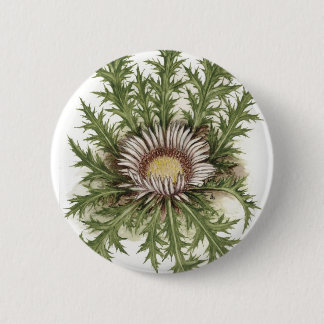Silver Thistle Collection 6 Cm Round Badge