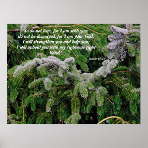 Silver Tip Fir Tree Isaiah 41:10 Print