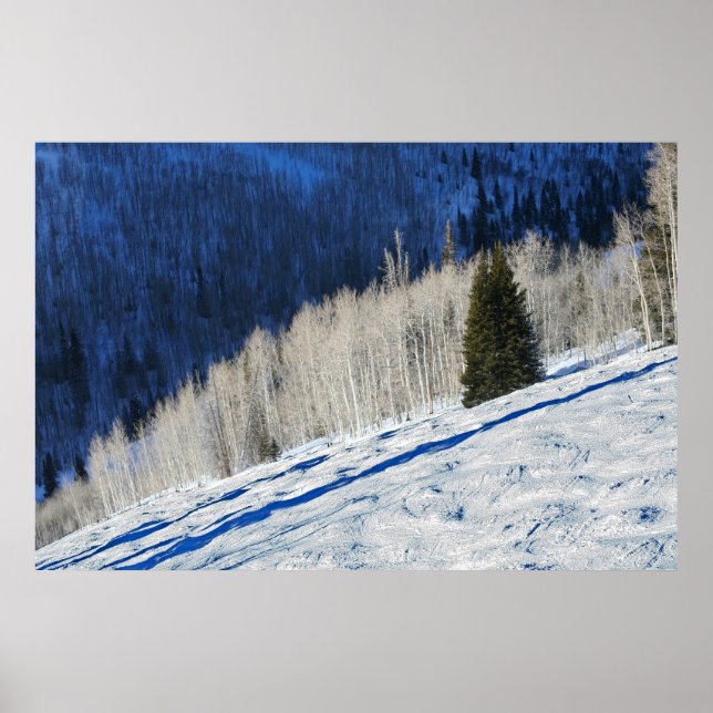 Silver Trees Poster (Front)