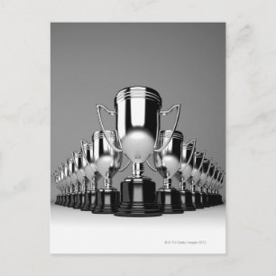 Silver Trophys 2 Postcard