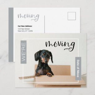 Silver We're Moving Dachshund Dog in Box Postcard