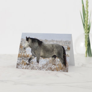 SILVER WILD HORSE OF UTAH Folded Greeting Card