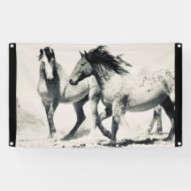 SILVER WILD HORSES OF UTAH WALL ART Banner