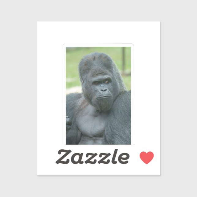 Silverback Dishi (Sheet)