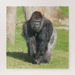 Silverback Gorilla – A Moment of Power Jigsaw Puzzle