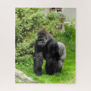 Silverback gorilla animal jigsaw puzzle
