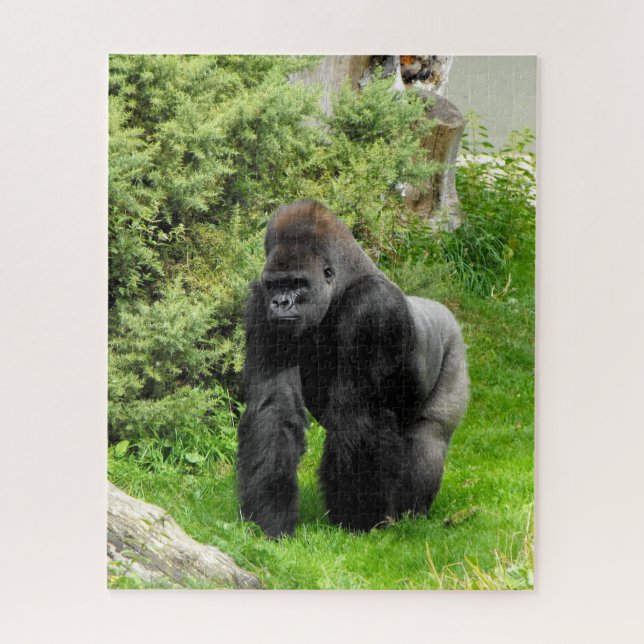 Silverback gorilla animal jigsaw puzzle (Vertical)