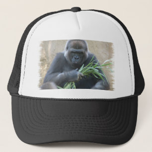 Silverback Gorilla Baseball Hat