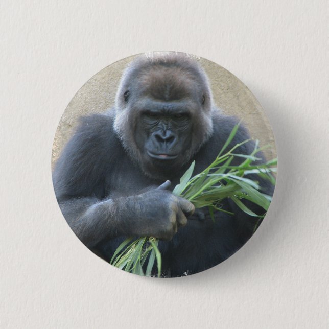 Silverback Gorilla Button (Front)