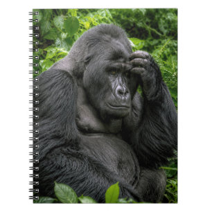 Silverback Gorilla Deep In Thought Notebook