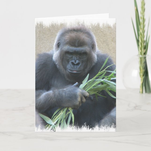 Silverback Gorilla Greeting Card (Front)