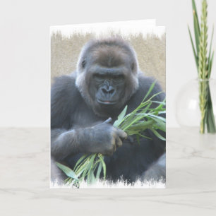 Silverback Gorilla Greeting Card