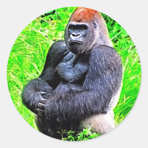 Silverback Gorilla Photo Painting Classic Round Sticker