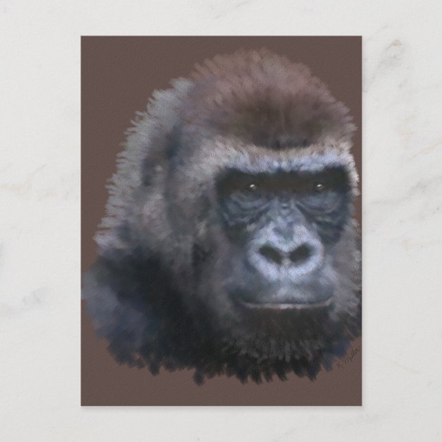 Silverback Gorilla Postcard (Front)