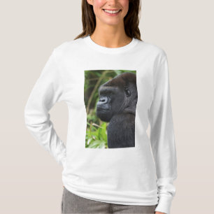Silverback Lowland Gorilla, Gorilla Captive T-Shirt